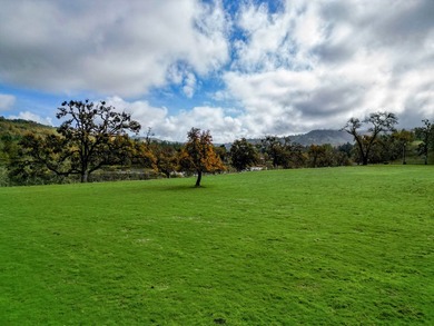 Overview Carlin Ranch presents a rare opportunity to acquire an - photo 18