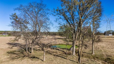 Exceptional 15.77-acre ranch property located in Franklin County - photo 4