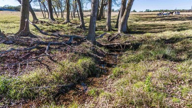 Exceptional 15.77-acre ranch property located in Franklin County - photo 7