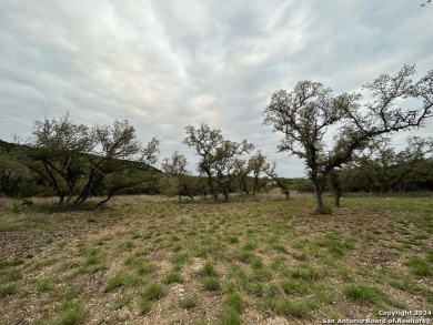 (private lake, pond, creek) Lot For Sale in Mico Texas