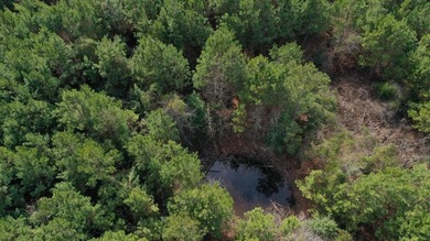 Discover the perfect blend of privacy, natural beauty, and - photo 4