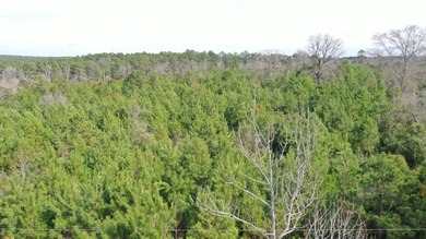 Discover the perfect blend of privacy, natural beauty, and - photo 5