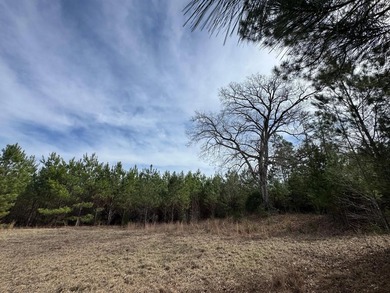 Discover the perfect blend of privacy, natural beauty, and - photo 7