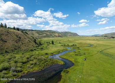 The Mead Ranch in Spring Gulch, one of the last remaining cattle - photo 1