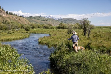 The Mead Ranch in Spring Gulch, one of the last remaining cattle - photo 2