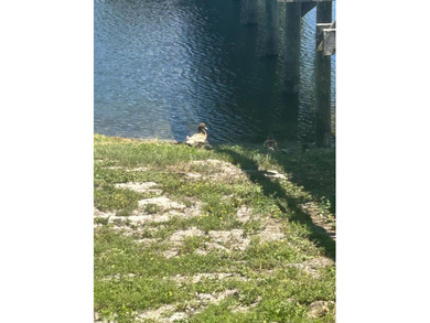 Extremely motivated seller! $2000.00 Buyer credit with - photo 33