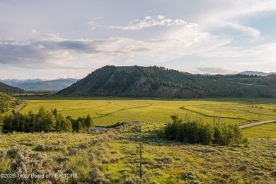 The Mead Ranch in Spring Gulch, one of the last remaining cattle - photo 3