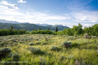 The Mead Ranch in Spring Gulch, one of the last remaining cattle - photo 4
