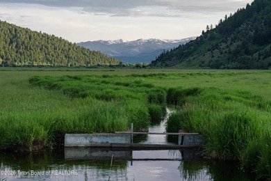 The Mead Ranch in Spring Gulch, one of the last remaining cattle - photo 5