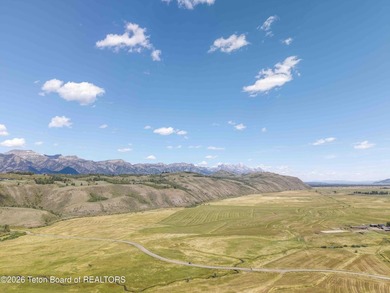 The Mead Ranch in Spring Gulch, one of the last remaining cattle - photo 8