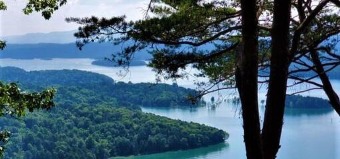 Norris Lake Lot For Sale in Sharps Chapel Tennessee