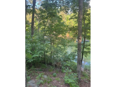 Smith Lake ( Main Channel )- One of the last lots available in - photo 1