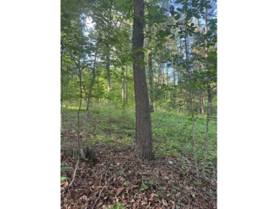 Smith Lake ( Main Channel )- One of the last lots available in - photo 3