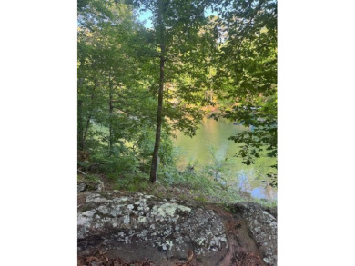 Smith Lake ( Main Channel )- One of the last lots available in - photo 4