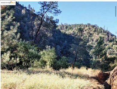 The Ellers Family Trust is offering for sale the historic - photo 20