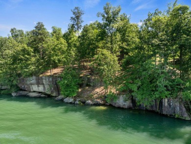 Smith Lake - Lot 88 Sipsey Overlook is tucked away on the - photo 3