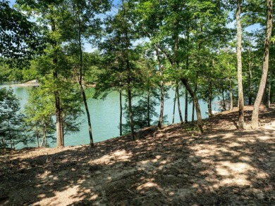 Smith Lake - Lot 88 Sipsey Overlook is tucked away on the - photo 5