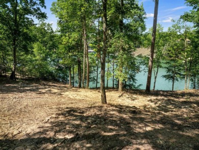 Smith Lake - Lot 88 Sipsey Overlook is tucked away on the - photo 6
