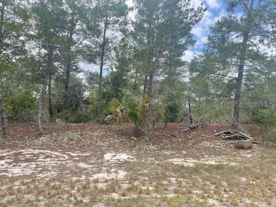 Lake Marion - Polk County Lot For Sale in Poinciana Florida