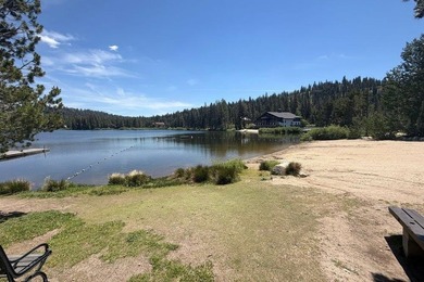 A lovely wooded lot ready for your Serene Lakes dream home! Home - photo 9