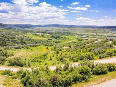 (private lake, pond, creek) Acreage For Sale in Steamboat Springs Colorado