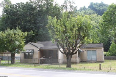 Lake Home For Sale in Webster Springs, West Virginia