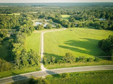 (private lake, pond, creek) Home Active Under Contract in Canton Texas