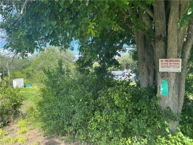 Lake Lot For Sale in Mathis, Texas