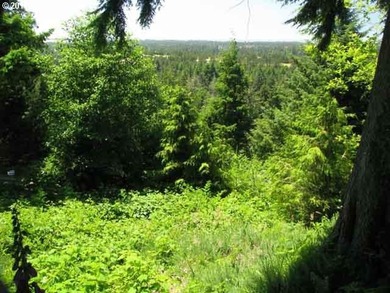 Siuslaw River Lot For Sale in Florence Oregon