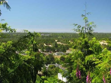 OCEAN AND CITY VIEWS in a gated community. Spectacular views - photo 2