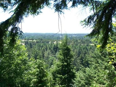 OCEAN AND CITY VIEWS in a gated community. Spectacular views - photo 3