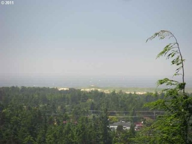 OCEAN AND CITY VIEWS in a gated community. Spectacular views - photo 4