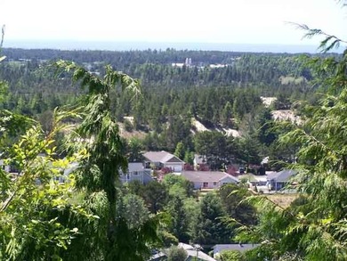 OCEAN AND CITY VIEWS in a gated community. Spectacular views - photo 5