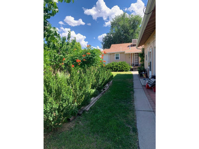 Triplex in the heart of downtown Grand Junction. Walk, bike or - photo 8