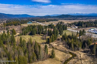 16+ acres with mixed Rural and Commercial zoning. Property runs - photo 3