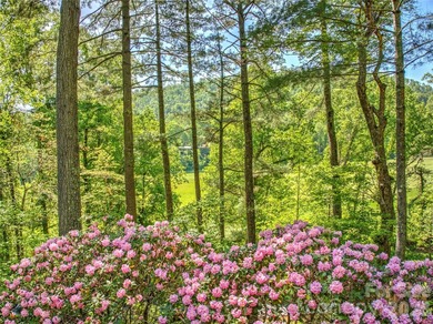 Stunning North Asheville home on a 0.76 acre lot in a desirable - photo 4