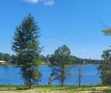 Lake Lot For Sale in Marianna, Florida