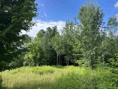 Lake Acreage Off Market in Barton, Vermont