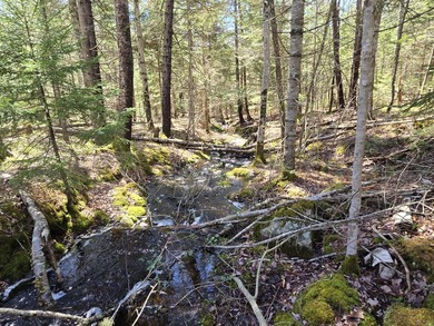 Experience the soothing sounds of a bubbling brook and the - photo 3