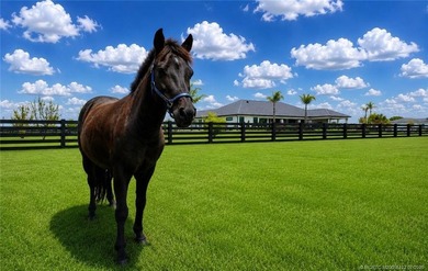 Experience luxury in this exceptional custom estate on 5 private - photo 47