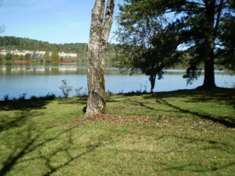  LAST LAKEFRONT and DOCKABLE lot on River Drive!  - Lake Lot For Sale in Oak Ridge, Tennessee