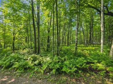 Lake Lot For Sale in Aitkin, Minnesota