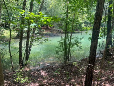 Discover the perfect setting for your dream lake home on Lot 83 - photo 2