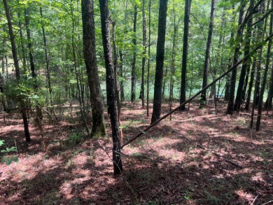 Discover the perfect setting for your dream lake home on Lot 83 - photo 3