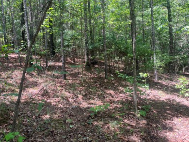 Discover the perfect setting for your dream lake home on Lot 83 - photo 4