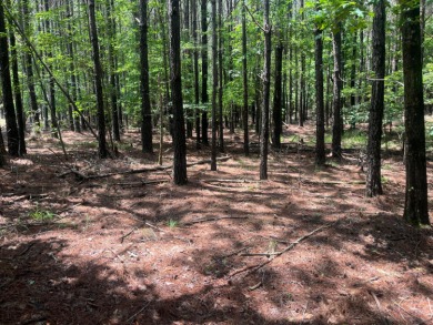 Discover the perfect setting for your dream lake home on Lot 83 - photo 5