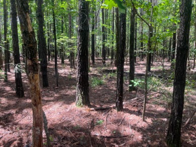 Discover the perfect setting for your dream lake home on Lot 83 - photo 6