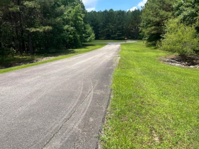 Discover the perfect setting for your dream lake home on Lot 83 - photo 9