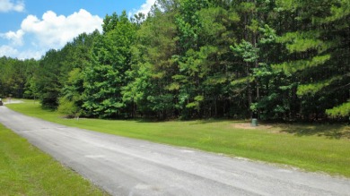 Discover the perfect setting for your dream lake home on Lot 83 - photo 10