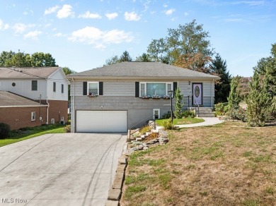 Lake Cable Home Sale Pending in Canton Ohio